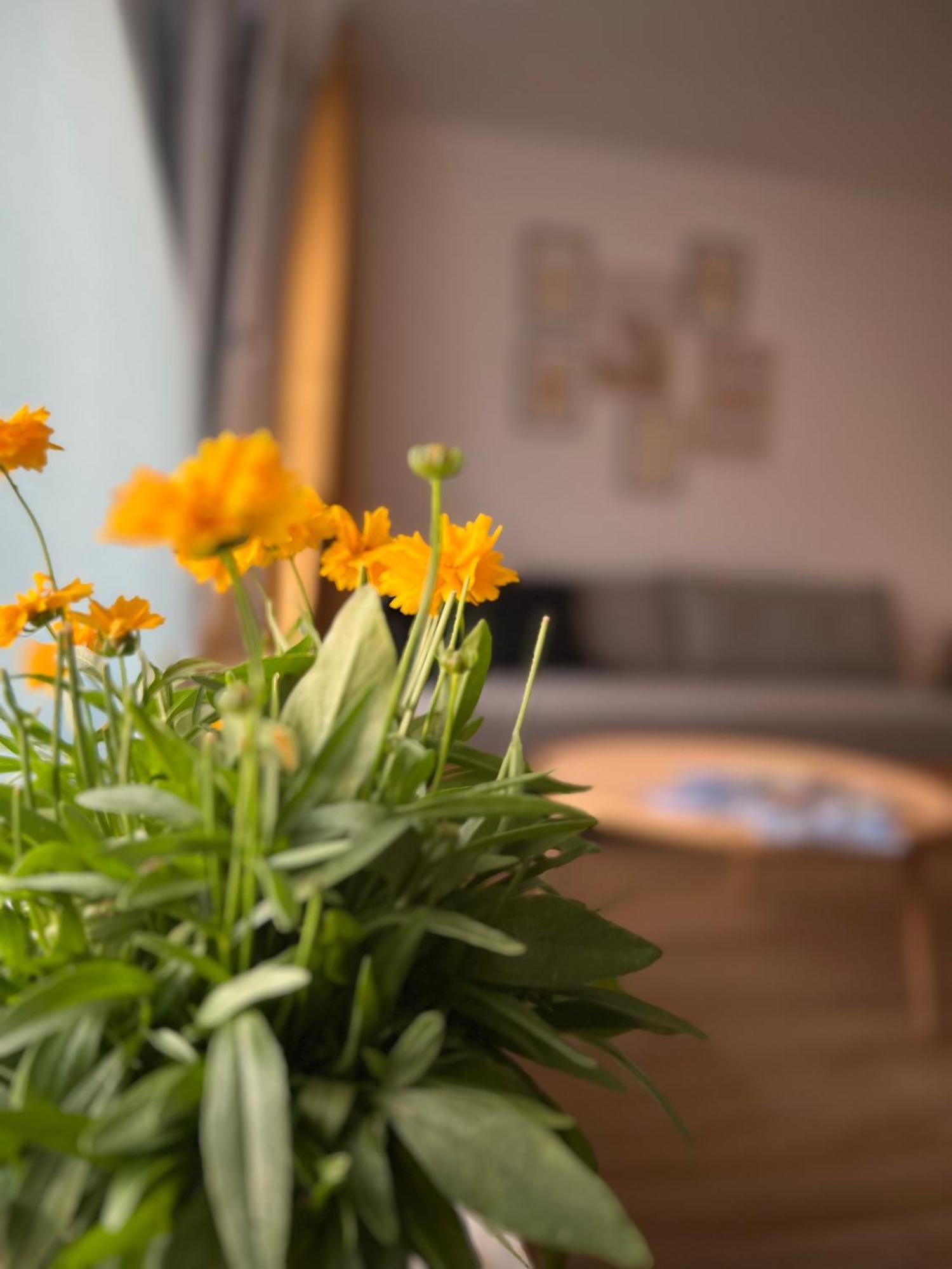 Ferienwohnung Sonneck Oberstaufen Kültér fotó